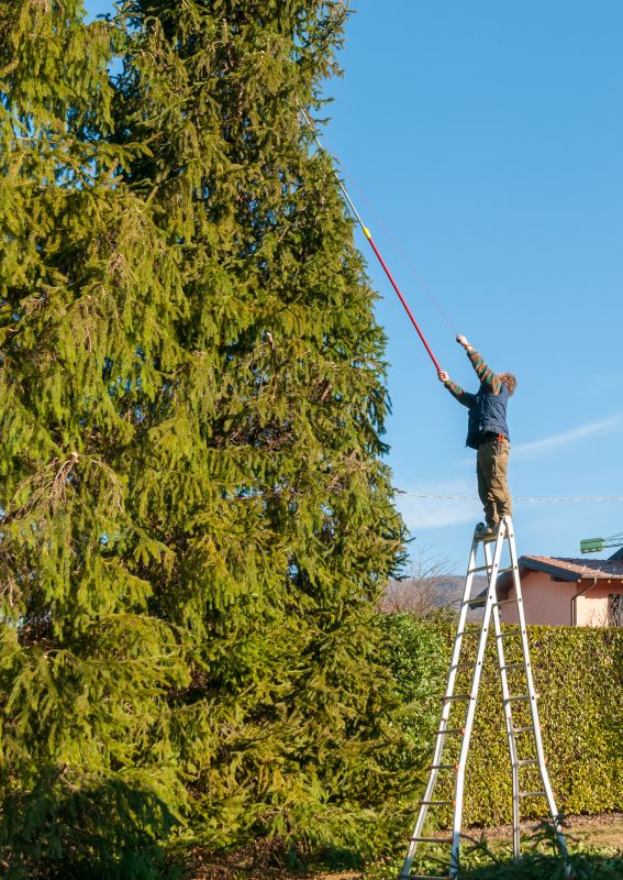 Annual Trimming